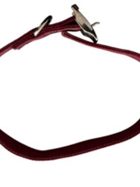 Aspen Pet Dog Collar